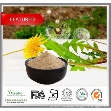 Top grade 100% Organic Mongolian dandelion herb ,Organic Mongolian dandelion herb extract, dandelion root extract